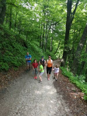 Kliknite za ogled večje slike