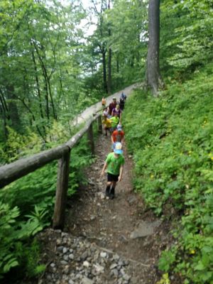 Kliknite za ogled večje slike