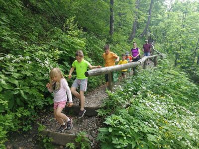 Kliknite za ogled večje slike