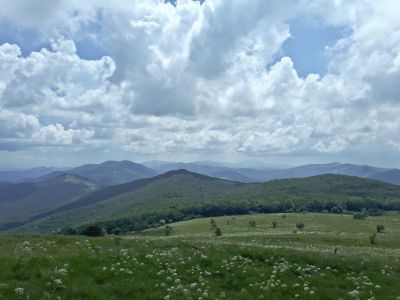 Kliknite za ogled večje slike