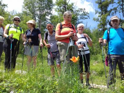 Kliknite za ogled večje slike
