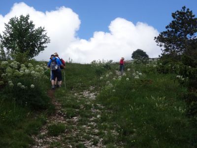Kliknite za ogled večje slike