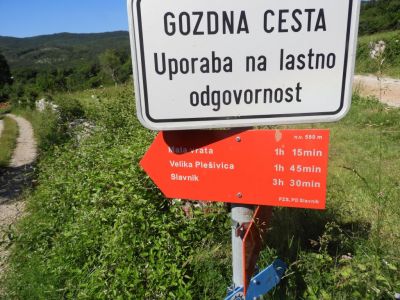 Kliknite za ogled večje slike