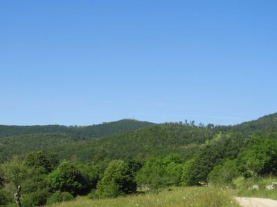 Kliknite za ogled večje slike
