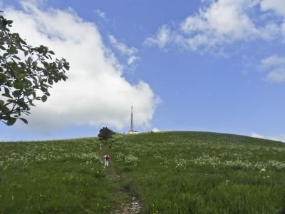 Kliknite za ogled večje slike
