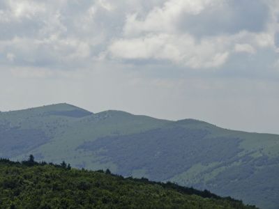 Kliknite za ogled večje slike