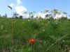 20180606_110920.jpg