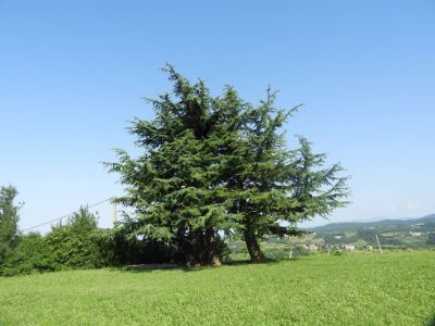 Kliknite za ogled večje slike