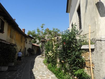 Kliknite za ogled večje slike