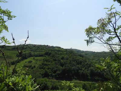 Kliknite za ogled večje slike