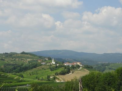 Kliknite za ogled večje slike