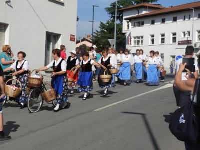 Kliknite za ogled večje slike