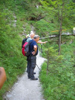 Kliknite za ogled večje slike