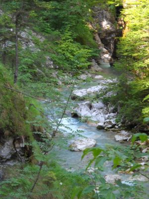 Kliknite za ogled večje slike