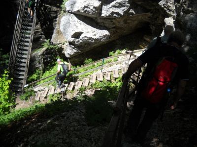 Kliknite za ogled večje slike