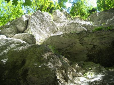 Kliknite za ogled večje slike