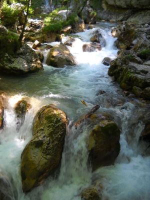 Kliknite za ogled večje slike