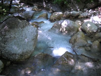 Kliknite za ogled večje slike
