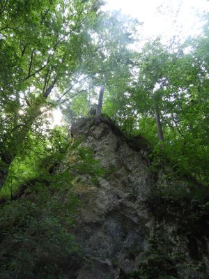 Kliknite za ogled večje slike