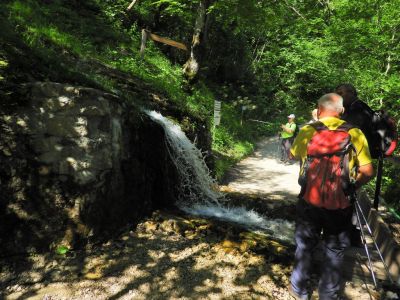 Kliknite za ogled večje slike