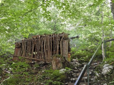 Kliknite za ogled večje slike
