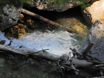 Kliknite za ogled večje slike