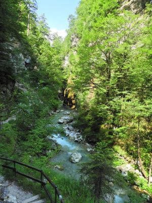 Kliknite za ogled večje slike
