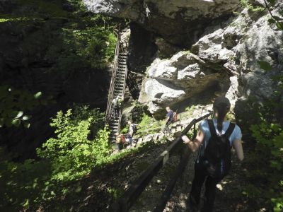 Kliknite za ogled večje slike