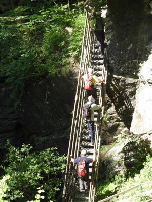 Kliknite za ogled večje slike