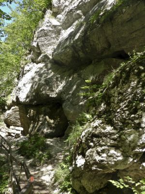 Kliknite za ogled večje slike