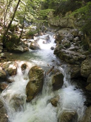Kliknite za ogled večje slike