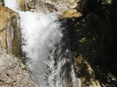 Kliknite za ogled večje slike