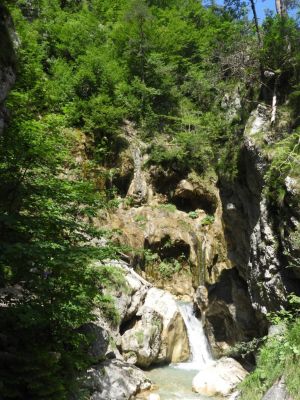 Kliknite za ogled večje slike