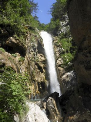 Kliknite za ogled večje slike