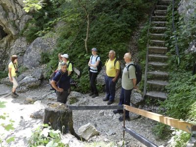 Kliknite za ogled večje slike