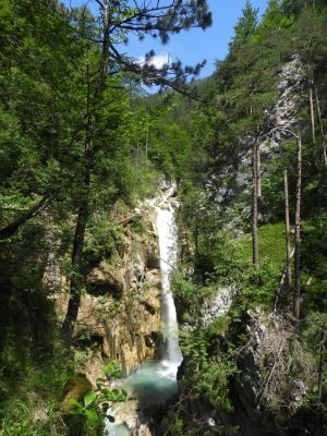 Kliknite za ogled večje slike