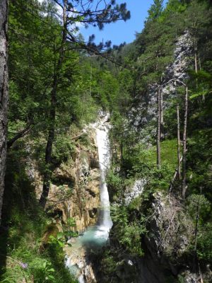 Kliknite za ogled večje slike