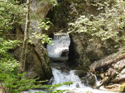 Kliknite za ogled večje slike
