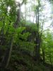 DSCN4079.JPG