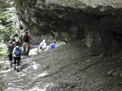 Kliknite za ogled večje slike