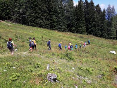 Kliknite za ogled večje slike