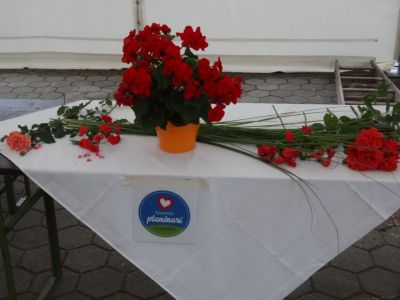 Kliknite za ogled večje slike