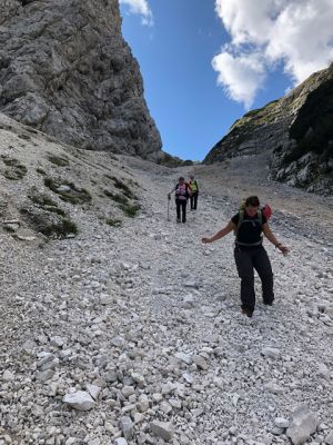 Kliknite za ogled večje slike