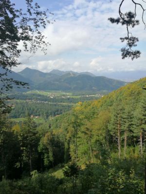 Kliknite za ogled večje slike