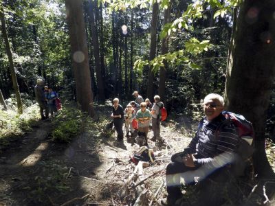 Kliknite za ogled večje slike