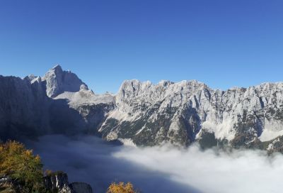 Kliknite za ogled večje slike