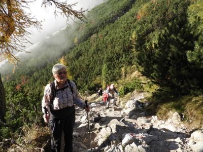 Kliknite za ogled večje slike
