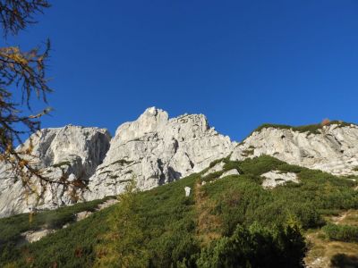 Kliknite za ogled večje slike