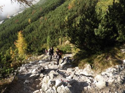 Kliknite za ogled večje slike