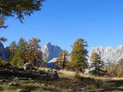 Kliknite za ogled večje slike